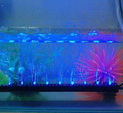 LED水底燈使用時，需要注意哪些事項(圖1)